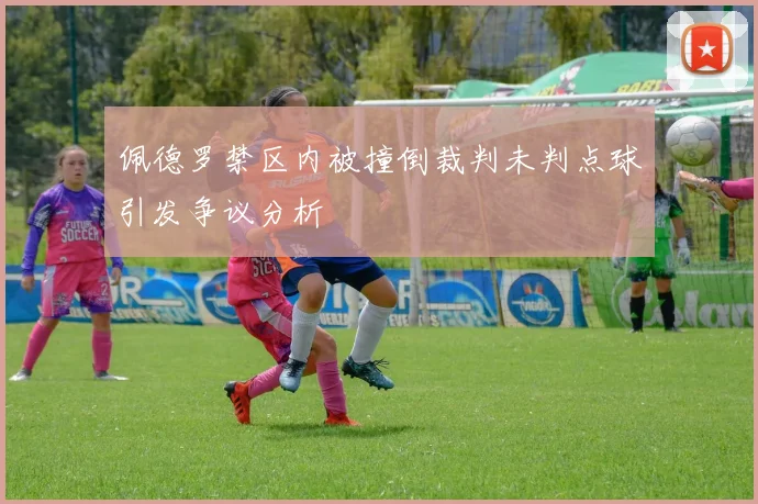 佩德罗禁区内被撞倒裁判未判点球引发争议分析